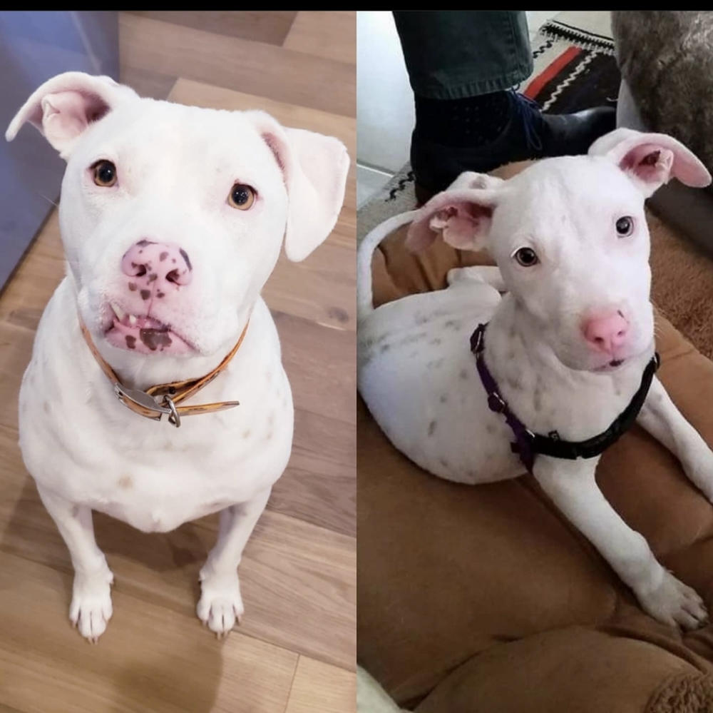 Meet your Posher, G Squared